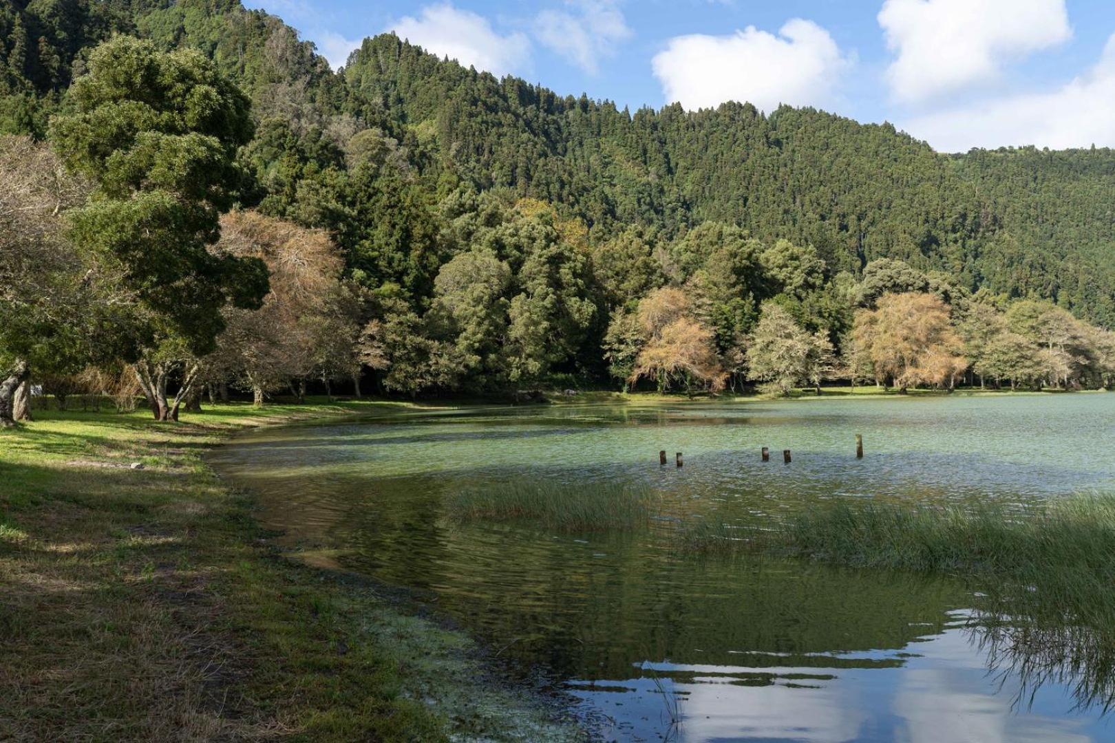 Quinta D'Agua Hotel Furnas  Eksteriør billede