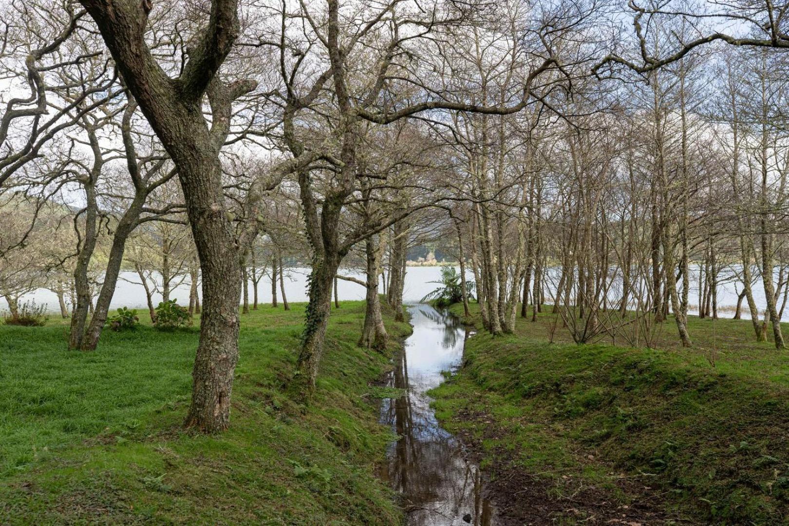Quinta D'Agua Hotel Furnas  Eksteriør billede